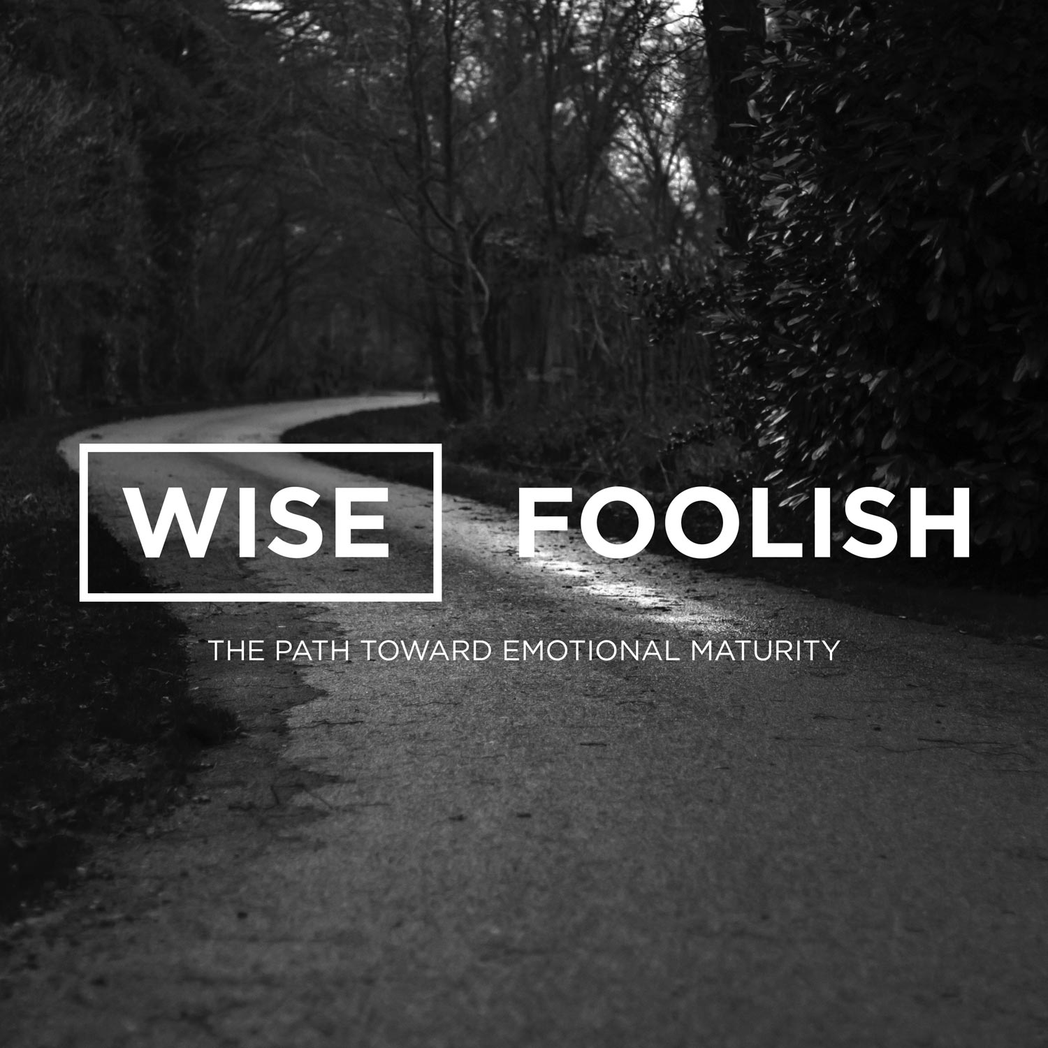 Wise/Foolish The Path Toward Emotional Maturity Grace Clarksville